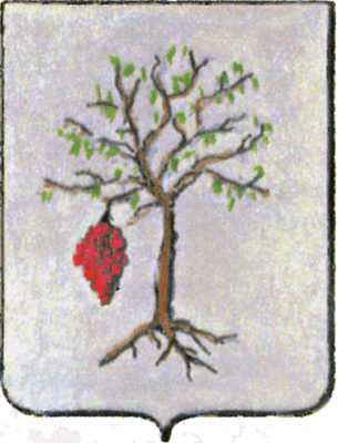 Comune di San Giovanni Lipioni