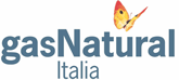 Gas Natural