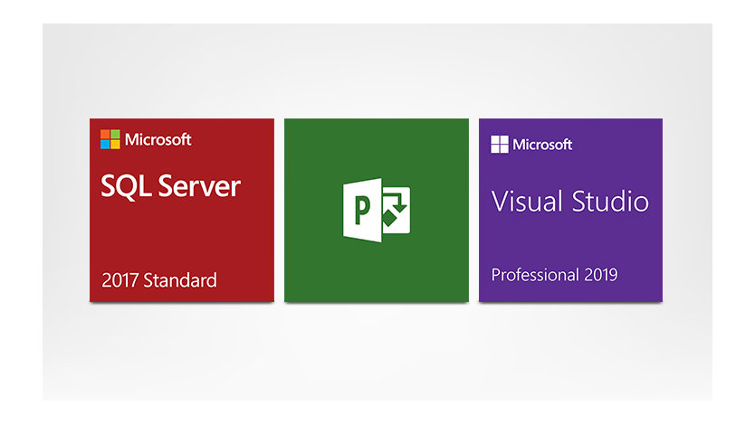 Software professionali 