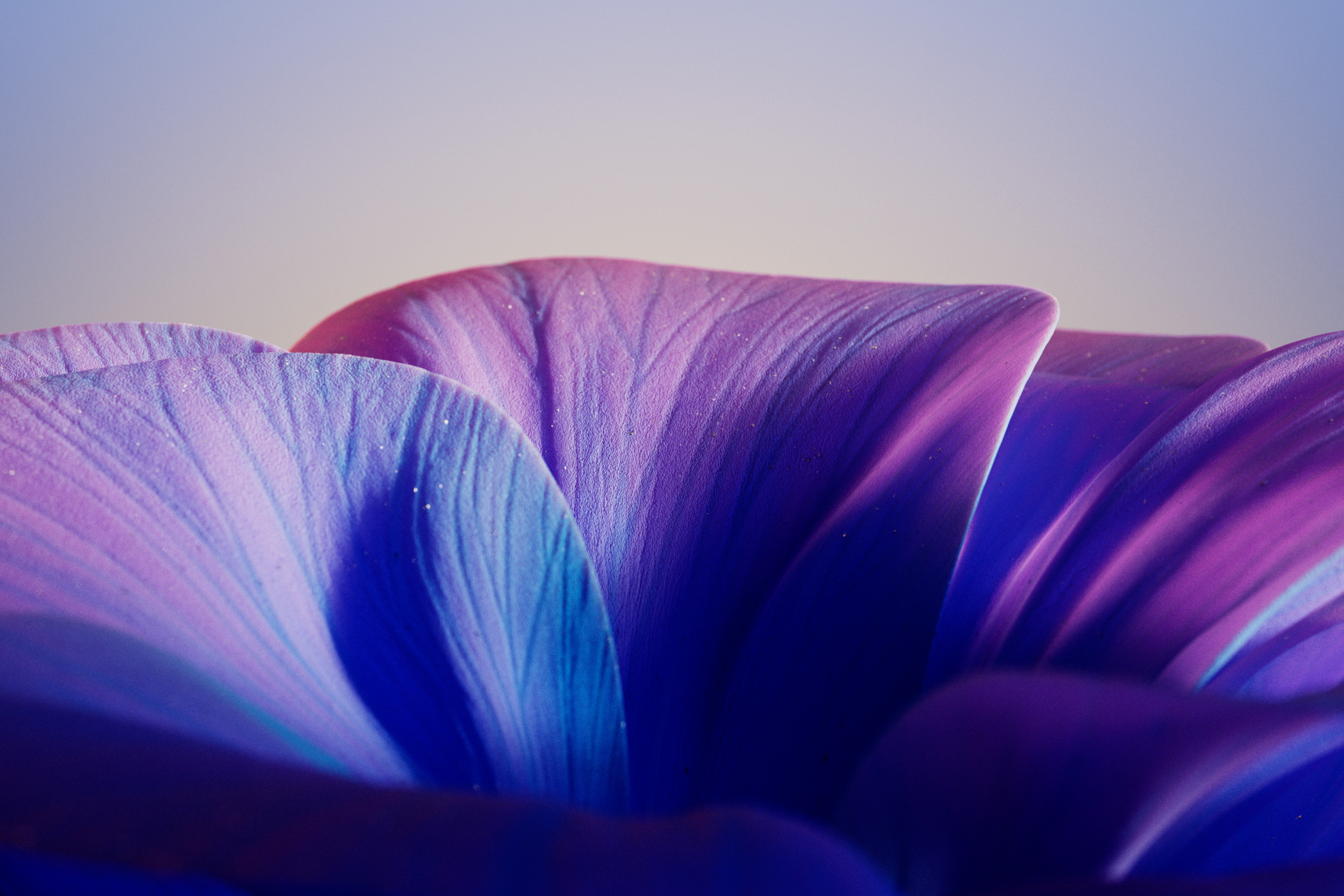 Video di presentazione di Surface Laptop 7ª edizione - Confronto schermo/dimensioni senza Copilot