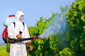 DISINFESTAZIONE E DERATTIZZAZIONE