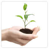 Coselp rispetta l'ambiente